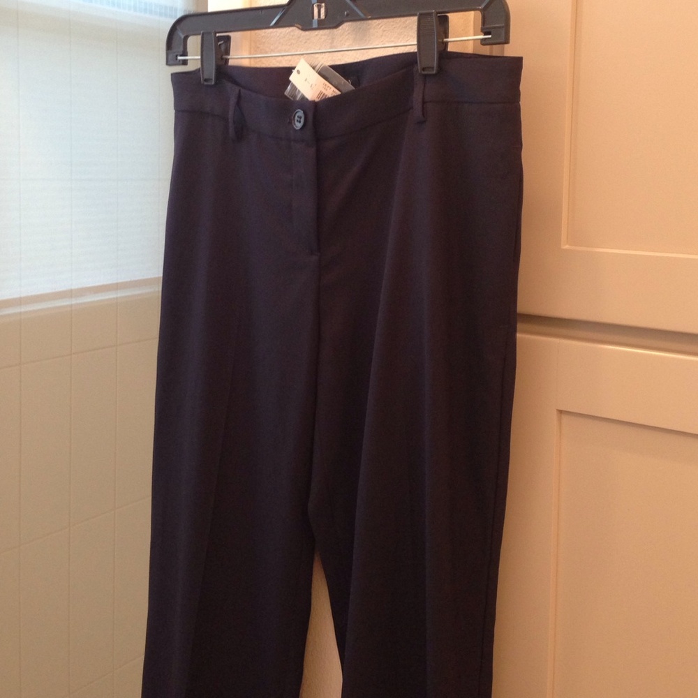 BNWT Navy Theory wool pants.